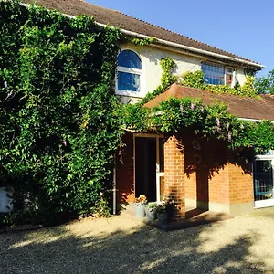 Stapehill Bed & Breakfast